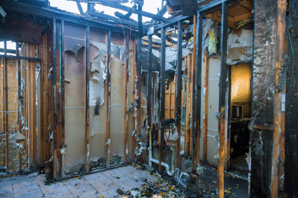 Professional Fire Damage Repair technician working in Kualapuu, HI